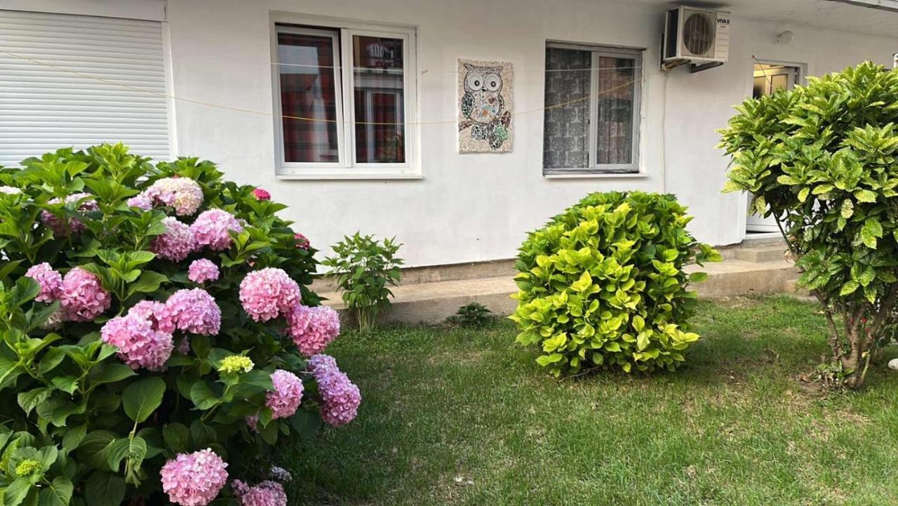 Apartment Aleksandra Bar Exteriör bild
